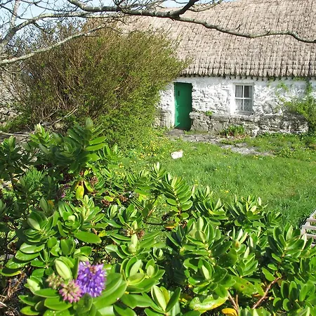 Bed & Breakfast An Dun And Cafe 4*