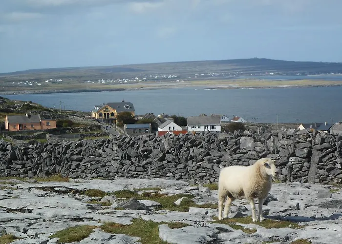 An Dun And Cafe Frühstückspension 4*