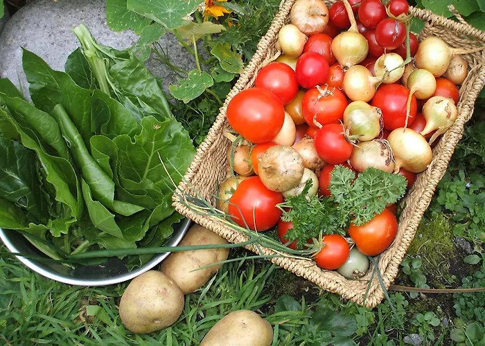 Frühstückspension An Dun And Cafe